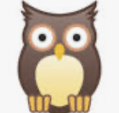 owl Icon